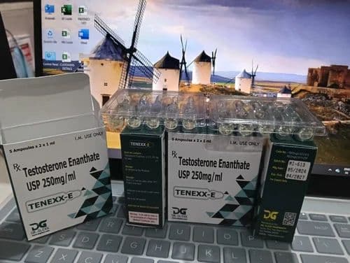 Tenexx-E - Testosterone Enanthate 250 Mg Inj