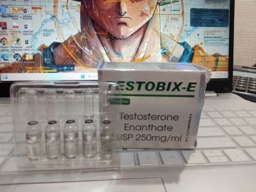 Testobix-E 250 mg Inj