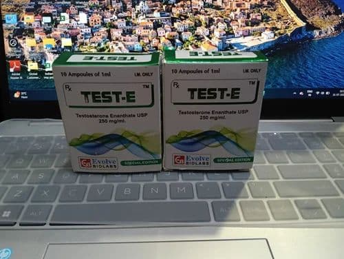 Test-E 250 mg Inj