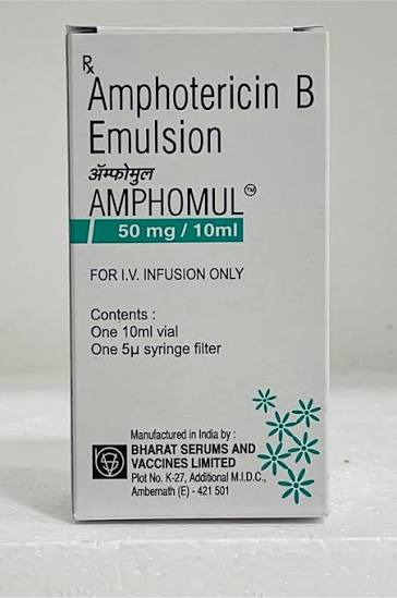 Amphomul - Amphotericin B 50 Mg Inj